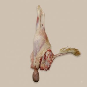 Mutton Leg Raan